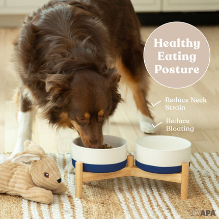 Ceramic Dog Bowls - Elevated for Medium Sized Pet with Raised Food and Water Set - Blue Double 6 inch, 28 Oz Bowls & 13x6.3x5.5 Wooden Stand