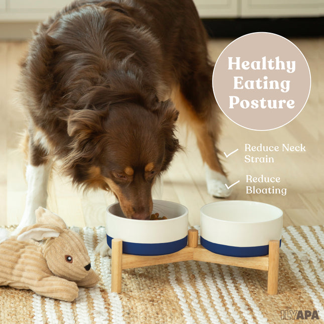 Ceramic Dog Bowls - Elevated for Medium Sized Pet with Raised Food and Water Set - Blue Double 6 inch, 28 Oz Bowls & 13x6.3x5.5 Wooden Stand