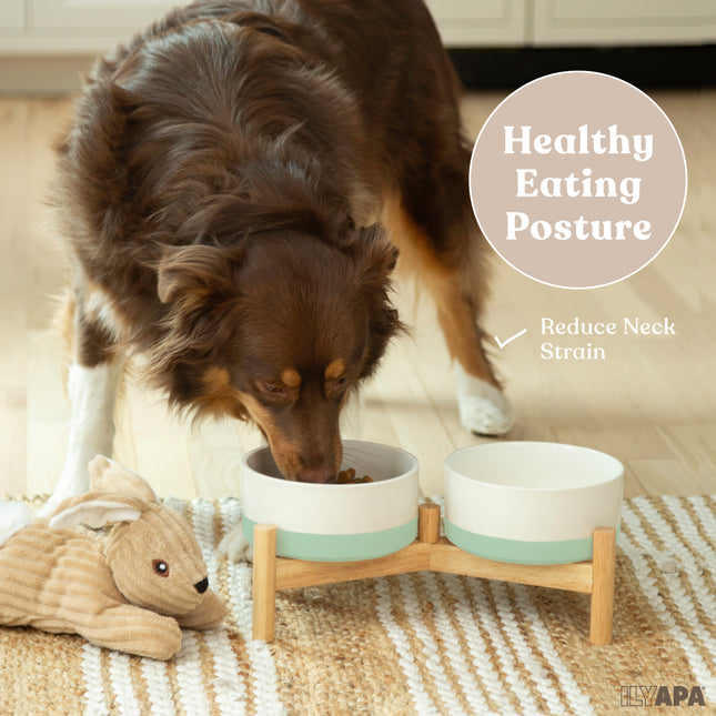 Ceramic Dog Bowls - Elevated for Medium Sized Pet with Raised Food and Water Set - Green Double 6 inch, 28 Oz Bowls & 13x6.3x5.5 Wooden Stand