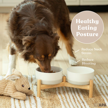 Ceramic Dog Bowls - Elevated for Medium Sized Pet with Raised Food and Water Set - Gray Double 6 inch, 28 Oz Bowls & 13x6.3x5.5 Wooden Stand