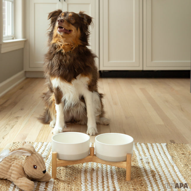Ceramic Dog Bowls - Elevated for Medium Sized Pet with Raised Food and Water Set - Gray Double 6 inch, 28 Oz Bowls & 13x6.3x5.5 Wooden Stand