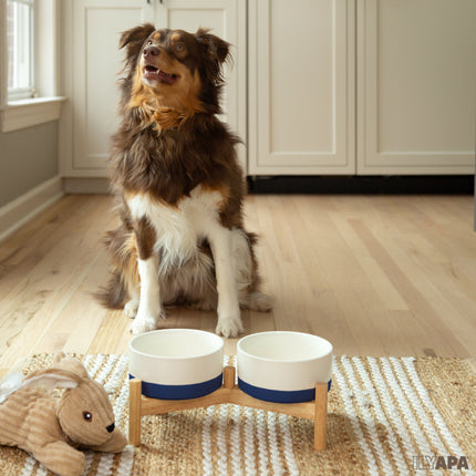 Ceramic Dog Bowls - Elevated for Medium Sized Pet with Raised Food and Water Set - Blue Double 6 inch, 28 Oz Bowls & 13x6.3x5.5 Wooden Stand