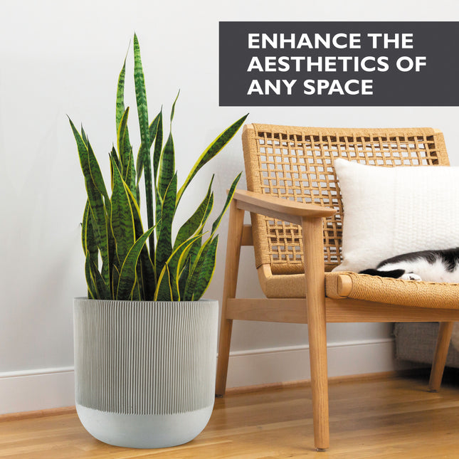 14 Inch Fluted Large Modern Concrete Planter - 14x14 Inch Outdoor/Indoor Plant Pots with Drainage - Cement Flower Pots for Plants