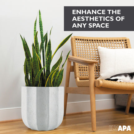 14 Inch Tall Modern Concrete Planter - 14.5x14 Inch Outdoor/Indoor Plant Pots with Drainage - Cement Vase Planters for Plants, or Tree