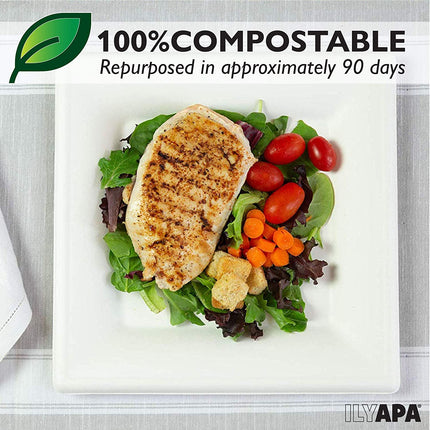 100 Square Disposable Dinner Plates Set - 10 Inch White Compostable, Biodegradable & Microwavable Sugarcane Tree Free Plates