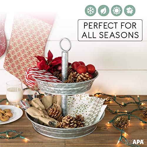 Galvanized Two Tiered Serving Stand - 2 Tier Metal Tray Platter for Cake, Dessert, Shrimp, Appetizers & More