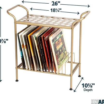 Ilyapa 2-Tier Gold Metal Record Player Stand with 14 Slot Vinyl Record Holder - Turntable Storage with Record Shelf