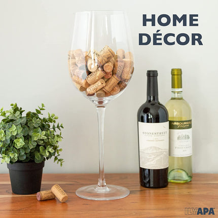 Ilyapa Extra Large 1.5 Gallon Wine Glass - Kitchen Bar Display Wine Holder Giant Drink Glass