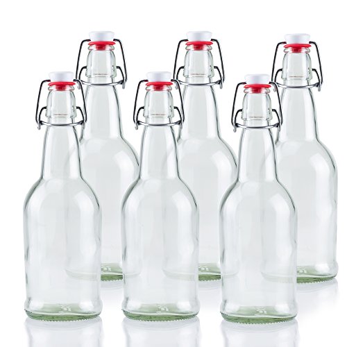 Ilyapa 16 Ounce Clear Glass Beer Bottles for Home Brewing - 6 Pack with Airtight Rubber Seal Flip Caps