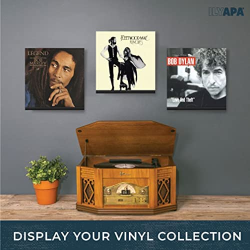 Ilyapa Record Display Wall Mounted Shelf, 10 Pack - Black Wooden Record Holder with Mounting Hardware