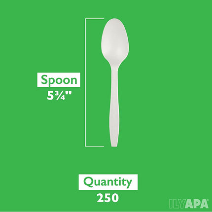 250 Compostable Spoons - Heavyweight Biodegradable Spoon Set - Bulk Disposable Cutlery for Party or Wedding